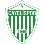 Çayelispor