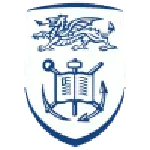 Swansea University